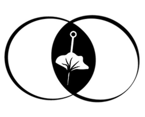 sotasintegrativemed.com